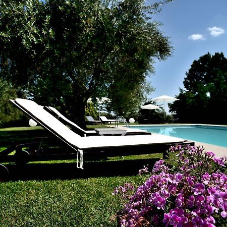 Agriturismo Al Colle Bertinoro Ngoại thất bức ảnh