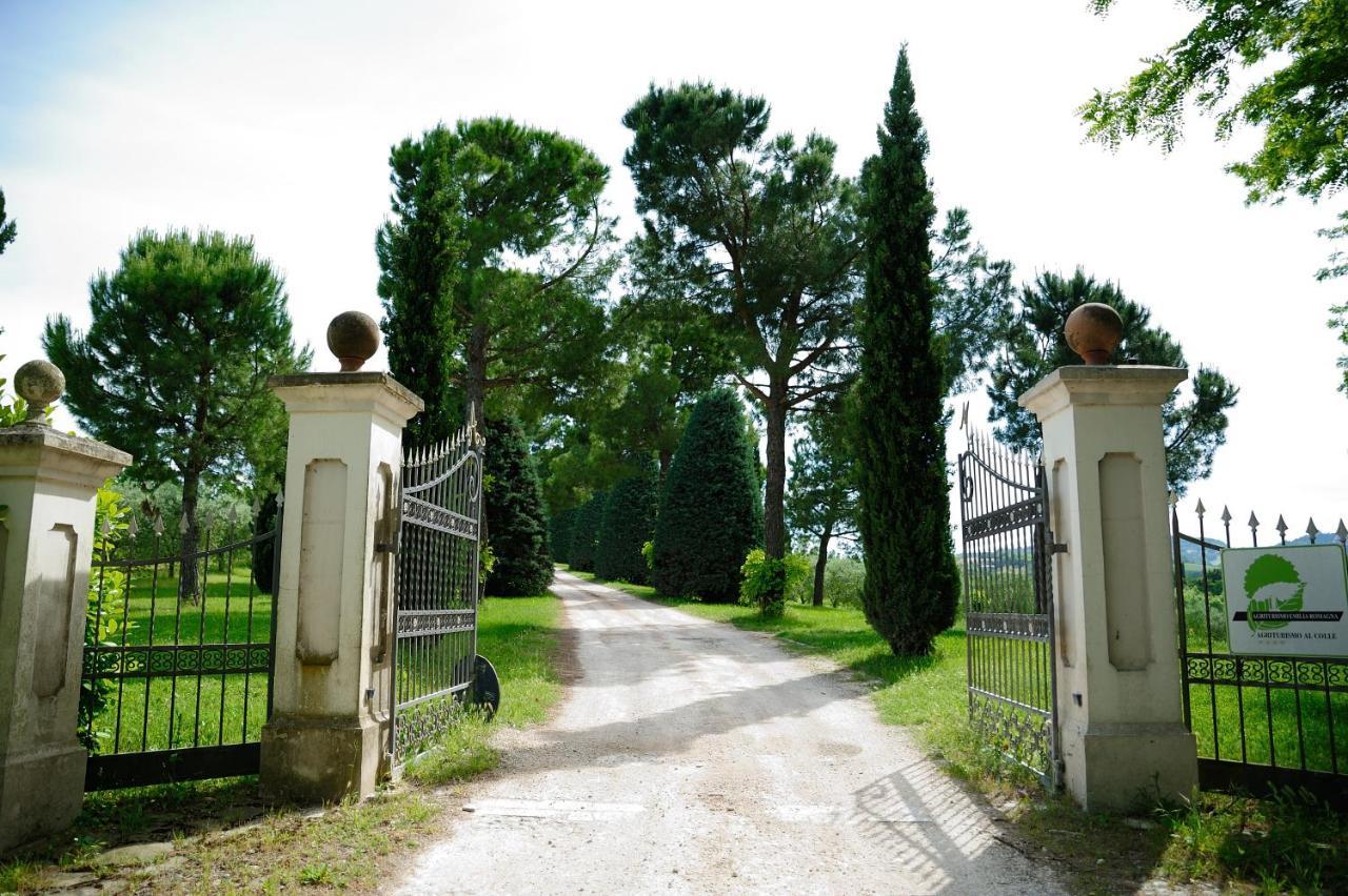 Agriturismo Al Colle Bertinoro Ngoại thất bức ảnh