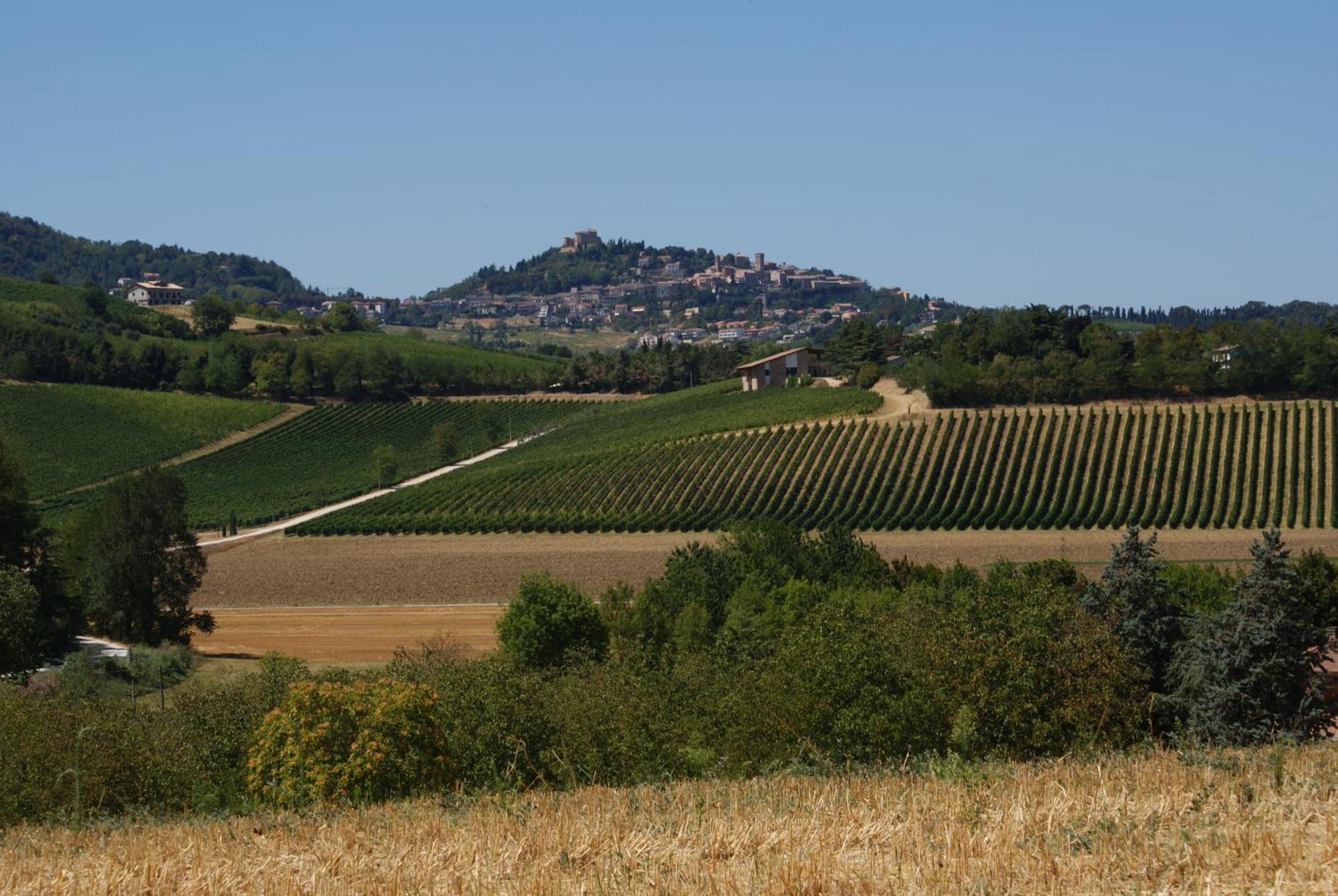 Agriturismo Al Colle Bertinoro Ngoại thất bức ảnh